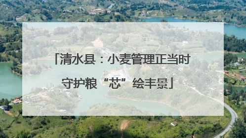 清水县：小麦管理正当时 守护粮“芯”绘丰景
