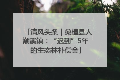 清风头条｜桑植县人潮溪镇：“迟到”5年的生态林补偿金