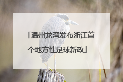 温州龙湾发布浙江首个地方性足球新政