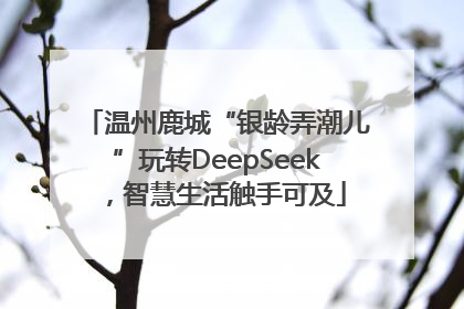 温州鹿城“银龄弄潮儿”玩转DeepSeek，智慧生活触手可及