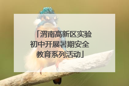 渭南高新区实验初中开展暑期安全教育系列活动