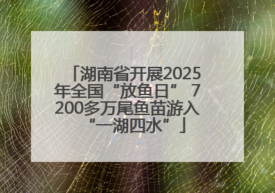 湖南省开展2025年全国“放鱼日” 7200多万尾鱼苗游入“一湖四水”
