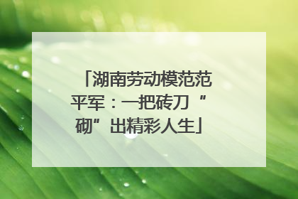 湖南劳动模范范平军：一把砖刀“砌”出精彩人生