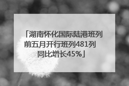 湖南怀化国际陆港班列前五月开行班列481列 同比增长45%