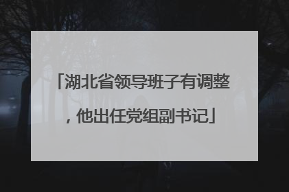 湖北省领导班子有调整，他出任党组副书记