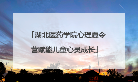 湖北医药学院心理夏令营赋能儿童心灵成长