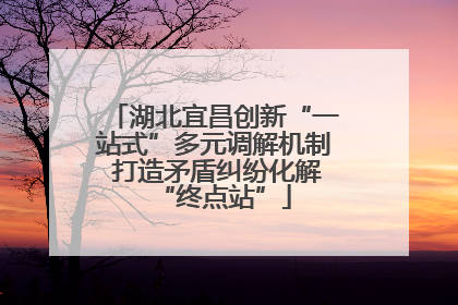 湖北宜昌创新“一站式”多元调解机制 打造矛盾纠纷化解“终点站”
