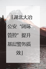 湖北大冶公安“闭环管控”提升基层警务质效