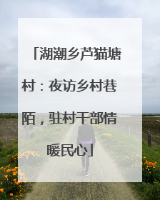湖潮乡芦猫塘村：夜访乡村巷陌，驻村干部情暖民心