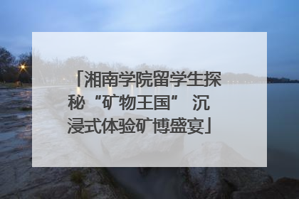 湘南学院留学生探秘“矿物王国” 沉浸式体验矿博盛宴