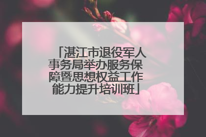 湛江市退役军人事务局举办服务保障暨思想权益工作能力提升培训班