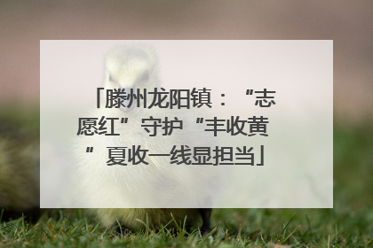 滕州龙阳镇：“志愿红”守护“丰收黄”夏收一线显担当