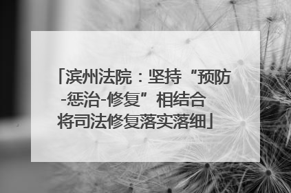 滨州法院：坚持“预防-惩治-修复”相结合 将司法修复落实落细