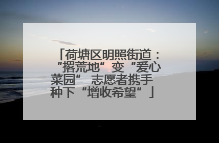 荷塘区明照街道：“撂荒地”变“爱心菜园” 志愿者携手种下“增收希望”