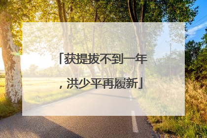 获提拔不到一年，洪少平再履新