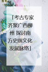 考古专家齐聚广西柳州 探讨南方史前文化发展脉络