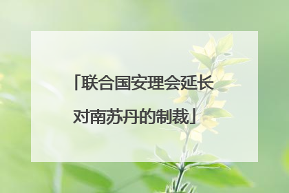 联合国安理会延长对南苏丹的制裁