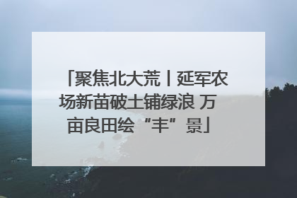 聚焦北大荒丨延军农场新苗破土铺绿浪 万亩良田绘“丰”景
