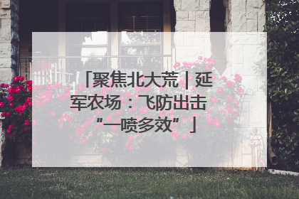 聚焦北大荒｜延军农场：飞防出击 “一喷多效”