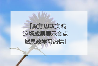 聚焦思政实践 这场成果展示会点燃思政学习热情