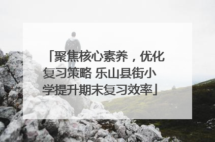 聚焦核心素养，优化复习策略 乐山县街小学提升期末复习效率