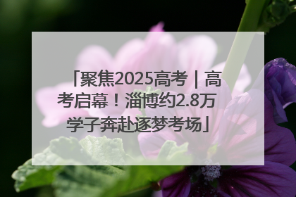 聚焦2025高考｜高考启幕！淄博约2.8万学子奔赴逐梦考场