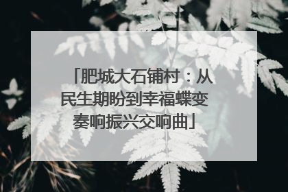 肥城大石铺村：从民生期盼到幸福蝶变奏响振兴交响曲