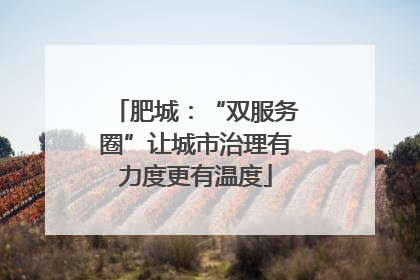 肥城：“双服务圈”让城市治理有力度更有温度