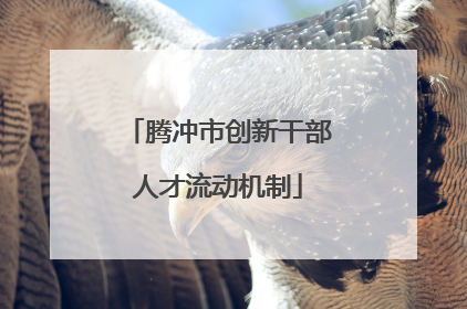 腾冲市创新干部人才流动机制