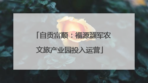 自贡富顺：福源灏军农文旅产业园投入运营