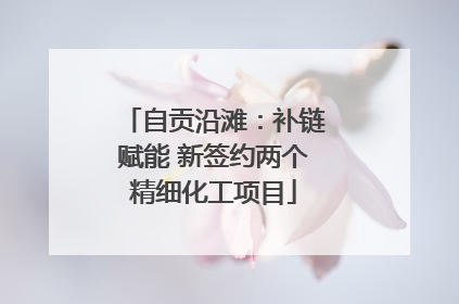 自贡沿滩：补链赋能 新签约两个精细化工项目