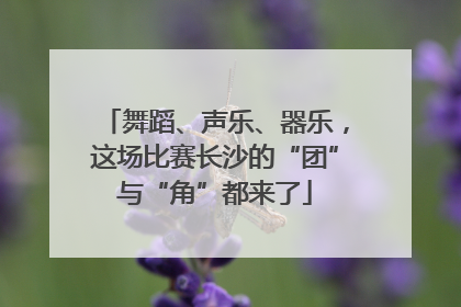 舞蹈、声乐、器乐，这场比赛长沙的“团”与“角”都来了