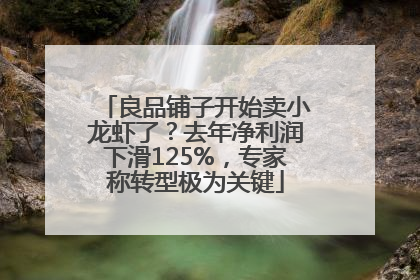 良品铺子开始卖小龙虾了？去年净利润下滑125%，专家称转型极为关键