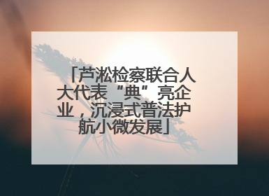 芦淞检察联合人大代表“典”亮企业，沉浸式普法护航小微发展