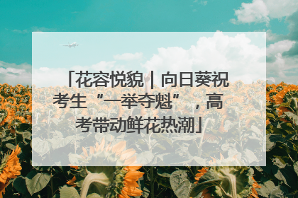 花容悦貌｜向日葵祝考生“一举夺魁”，高考带动鲜花热潮