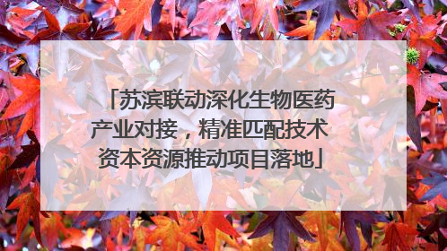 苏滨联动深化生物医药产业对接，精准匹配技术资本资源推动项目落地