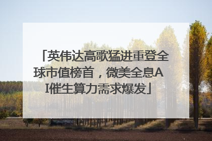 英伟达高歌猛进重登全球市值榜首，微美全息AI催生算力需求爆发