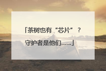 茶树也有“芯片”？守护者是他们……