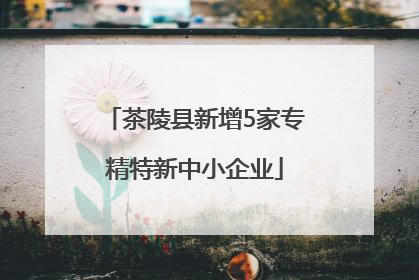 茶陵县新增5家专精特新中小企业