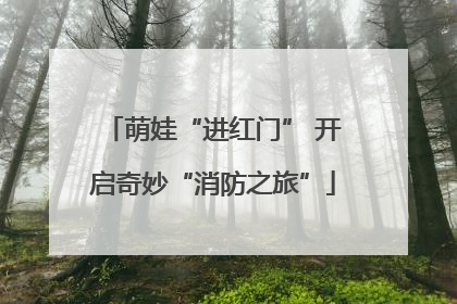 萌娃“进红门” 开启奇妙“消防之旅”