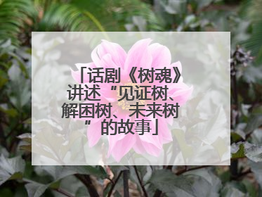 话剧《树魂》讲述“见证树、解困树、未来树”的故事
