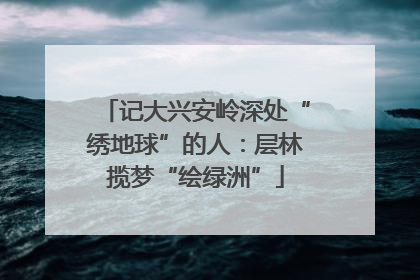 记大兴安岭深处“绣地球”的人：层林揽梦“绘绿洲”