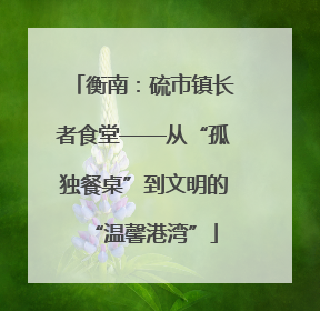 衡南：硫市镇长者食堂——从“孤独餐桌”到文明的“温馨港湾”