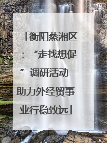 衡阳蒸湘区：“走找想促”调研活动 助力外经贸事业行稳致远