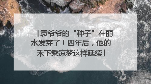袁爷爷的“种子”在丽水发芽了！四年后，他的禾下乘凉梦这样延续