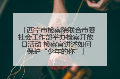 西宁市检察院联合市委社会工作部举办检察开放日活动 检察官讲述如何保护“少年的你”