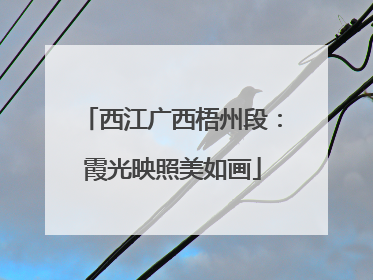 西江广西梧州段：霞光映照美如画