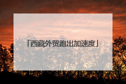 西藏外贸跑出加速度