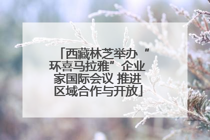 西藏林芝举办“环喜马拉雅”企业家国际会议 推进区域合作与开放