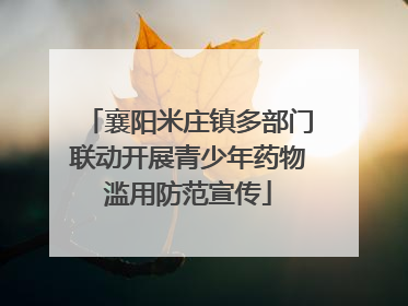 襄阳米庄镇多部门联动开展青少年药物滥用防范宣传